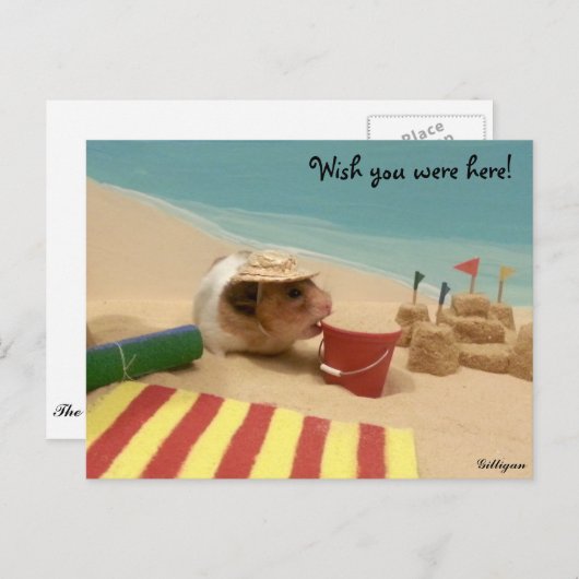 Ik wou dat je hier was! briefkaart (Voorkant / Achterkant)