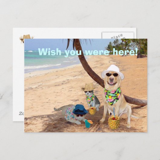 Ik wou dat je hier was! briefkaart (Voorkant / Achterkant)