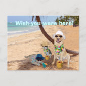 Ik wou dat je hier was! briefkaart (Voorkant)