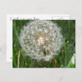 Ik wou dat je hier was briefkaart (Voorkant / Achterkant)