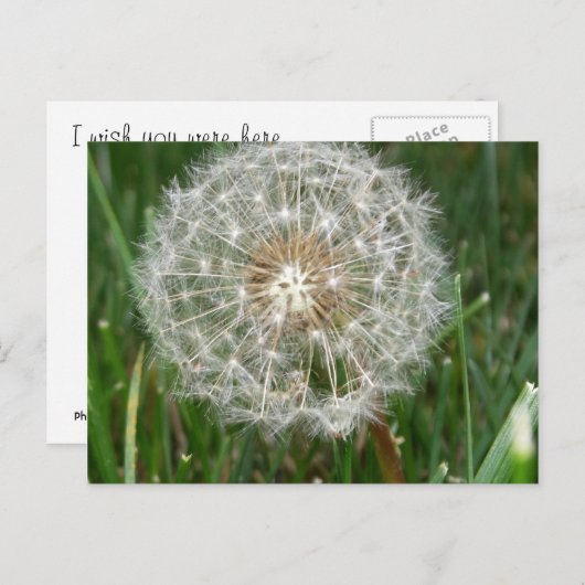 Ik wou dat je hier was briefkaart (Voorkant / Achterkant)