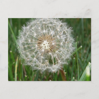 Ik wou dat je hier was briefkaart