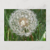 Ik wou dat je hier was briefkaart (Voorkant)