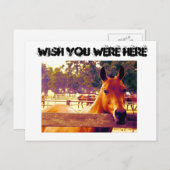 Ik wou dat je hier was briefkaart (Voorkant / Achterkant)