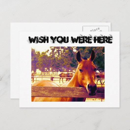 Ik wou dat je hier was briefkaart (Voorkant / Achterkant)