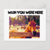 Ik wou dat je hier was briefkaart (Voorkant)