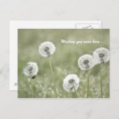 Ik wou dat je hier was... briefkaart (Voorkant / Achterkant)