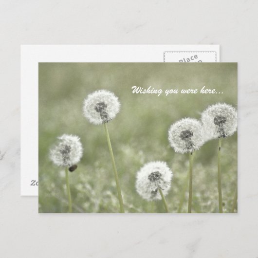 Ik wou dat je hier was... briefkaart (Voorkant / Achterkant)