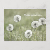 Ik wou dat je hier was... briefkaart (Voorkant)