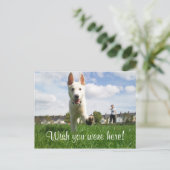 Ik wou dat je hier was! briefkaart (Staand voorkant)