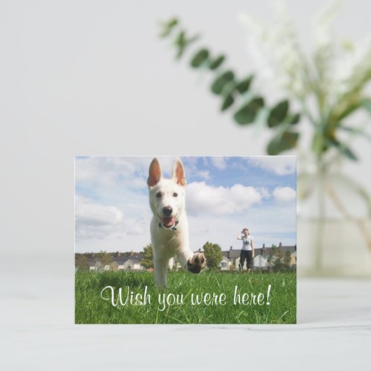 Ik wou dat je hier was! briefkaart (Staand voorkant)