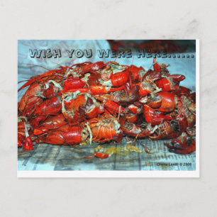 Ik wou dat je hier was...... briefkaart