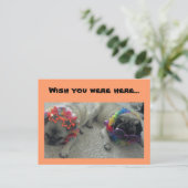 Ik wou dat je hier was...Briefkaart Briefkaart (Staand voorkant)
