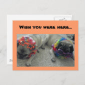 Ik wou dat je hier was...Briefkaart Briefkaart (Voorkant / Achterkant)