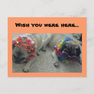 Ik wou dat je hier was...Briefkaart Briefkaart