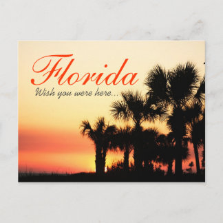 Ik wou dat je hier was - de zonnebrand van de palm briefkaart