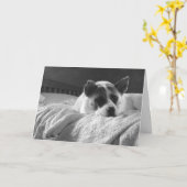 Ik wou dat je hier was. kaart (Gele Bloem)