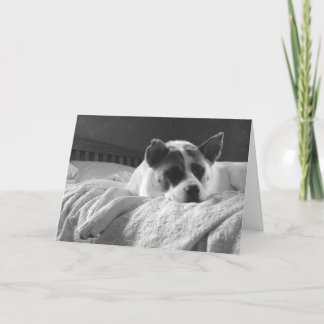 Ik wou dat je hier was. kaart