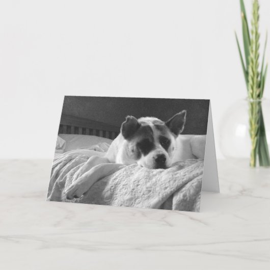 Ik wou dat je hier was. kaart (Voorkant)