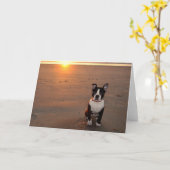 Ik wou dat je hier was kaart (Gele Bloem)