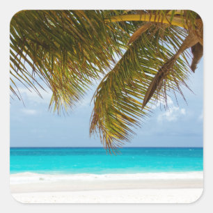 Ik wou dat je hier was! vierkante sticker