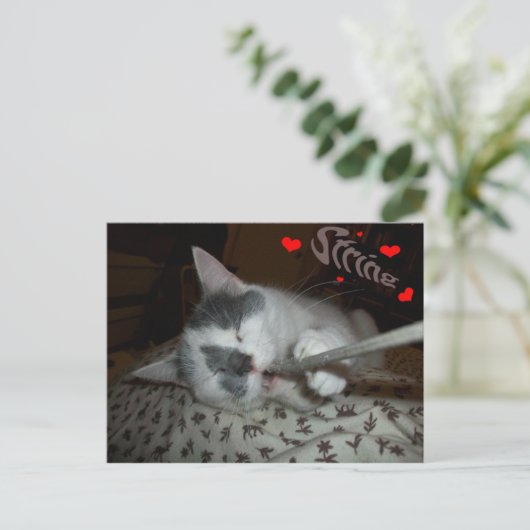 Ik WUV Mijn Koord Briefkaart (Staand voorkant)