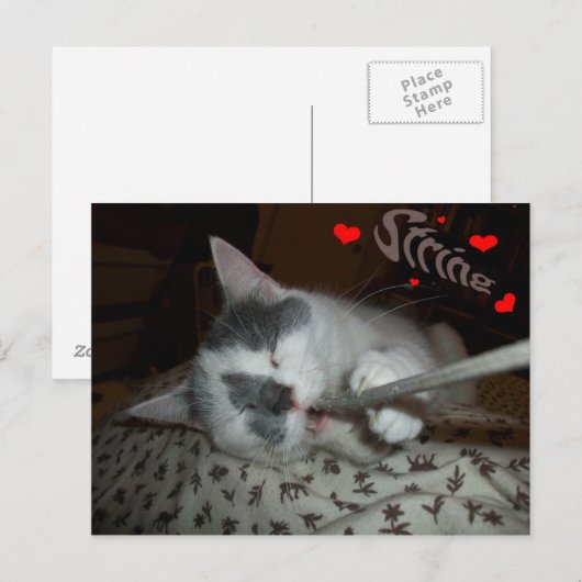 Ik WUV Mijn Koord Briefkaart (Voorkant / Achterkant)