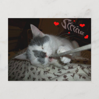 Ik WUV Mijn Koord Briefkaart