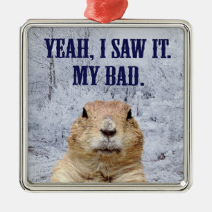 Ik zag het groundhog Dag Metalen Ornament