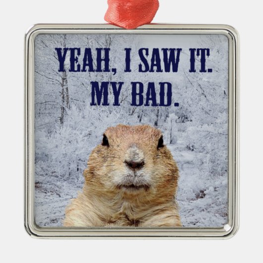 Ik zag het groundhog Dag Metalen Ornament (Voorkant)