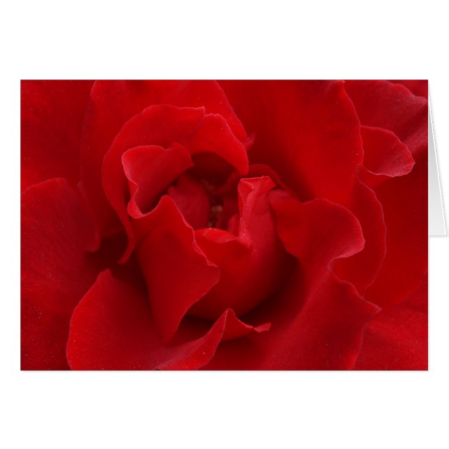 Ik zal altijd van je houden (Voorkant Horizontaal)