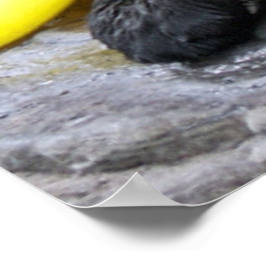 Ik zal altijd van je Poster houden (Hoek)