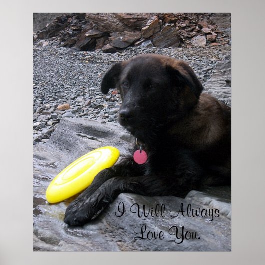 Ik zal altijd van je Poster houden (Voorkant)