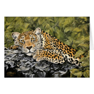 Ik zal geduldig zijn