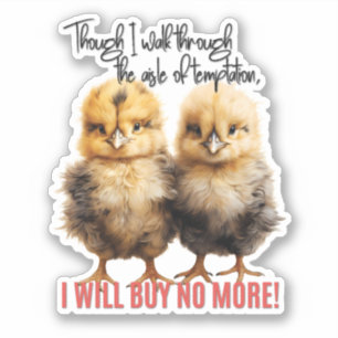 Ik zal geen Baby chicks meer kopen Sticker