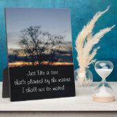 Ik zal geen boomfoto verplaatsen fotoplaat (Zijkant)