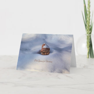 Ik zal Gnoom voor Kerstmis zijn Feestdagen Kaart