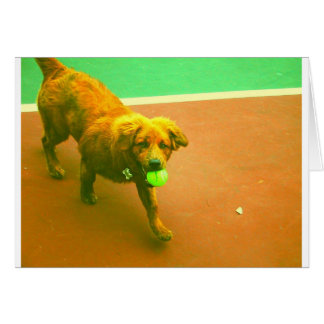 "Ik zal je altijd spelen!"