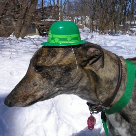 "Ik zal je razen!" Kaart