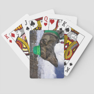 Ik zal je razen!" pokerkaarten