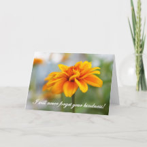 Ik zal nooit je verstand vergeten