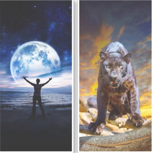 Ik zal professionele boekomslag of ebook cov ontwe sticker (Voorkant)