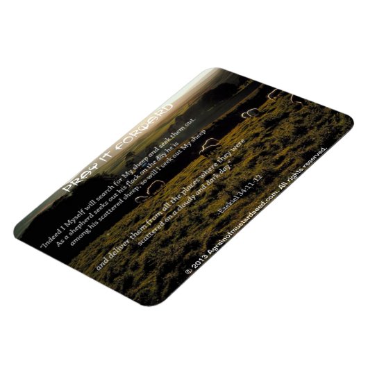 Ik zal zoeken naar Mijn schapen Bijbel Quote Magneet (Linkerzijde)