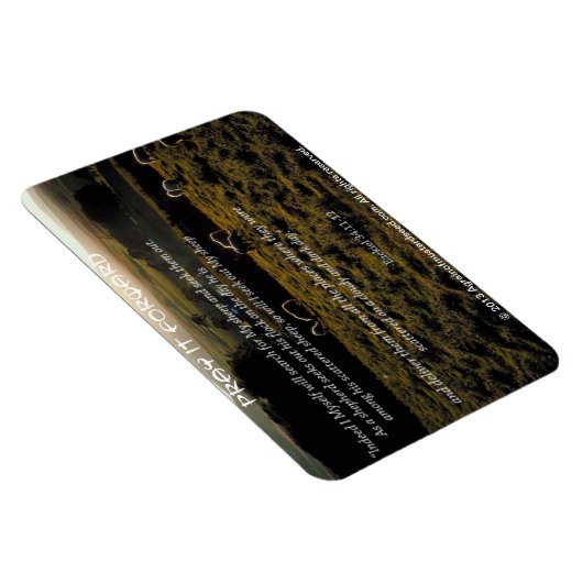 Ik zal zoeken naar Mijn schapen Bijbel Quote Magneet (Rechterzijde)