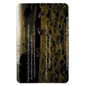 Ik zal zoeken naar Mijn schapen Bijbel Quote Magneet (Verticaal)