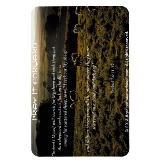 Ik zal zoeken naar Mijn schapen Bijbel Quote Magneet (Verticaal)