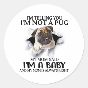 Ik zeg je dat ik geen pug ben, ik ben een Baby Pug Ronde Sticker