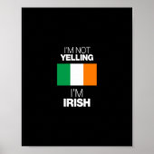 ik zeg niet dat ik irish ben poster (Voorkant)