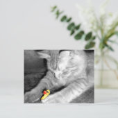 'Ik zei dat je de kat niet meer voedde' Rubber Duc Briefkaart (Staand voorkant)