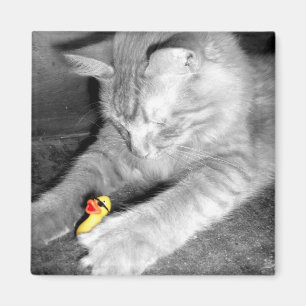 'Ik zei dat je de kat niet meer voedde' Rubber Duc Magneet